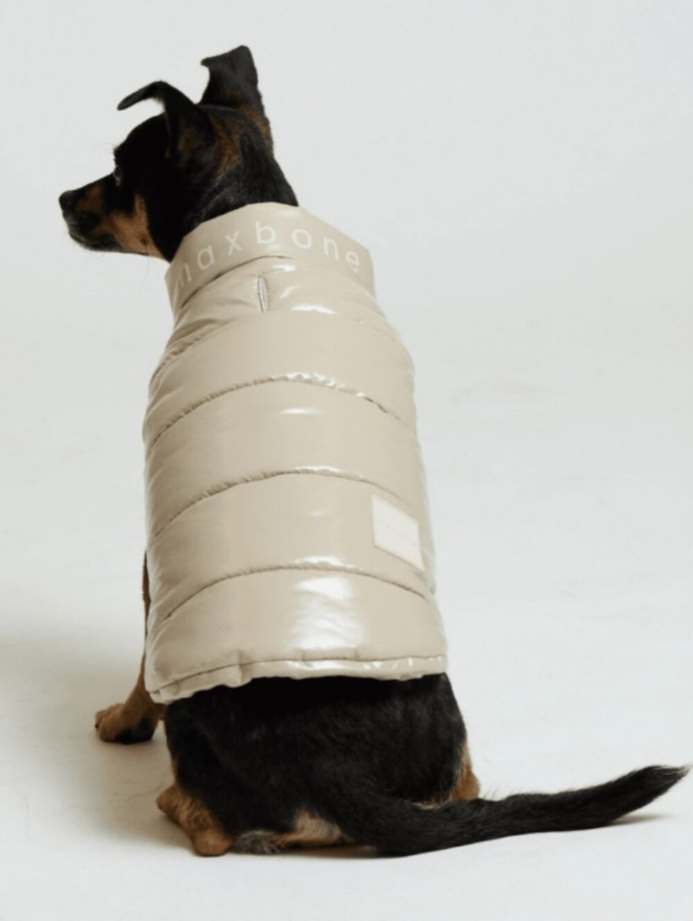 Maxbone Arabella Sand Puffer Dog Vest Medium